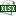 Icon of the document's physical file format